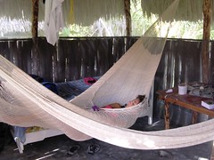 Capanna dei Caraibi dormendo nelle nostre amache Maya Mahahual Quintana Roo Yucatan Messico 