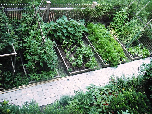 Small Vegetable Garden Design
