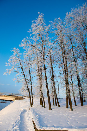 Sunny winter ©  Andrey