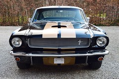 Ford Mustang Fastback GT350H (1965)
