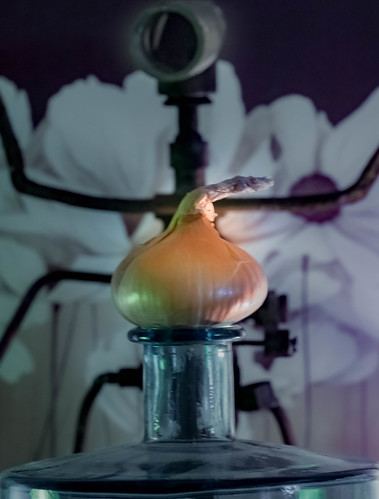 some sacral onion ©  Raymond Zoller