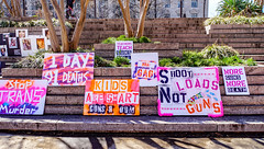 2018.03.24 March for Our Lives, Washington, DC USA 4511