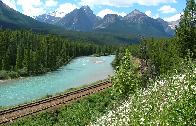 Bow River Parkway