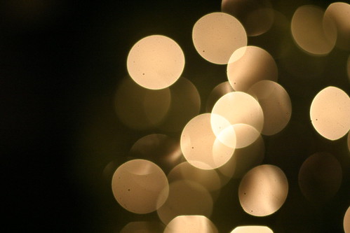 twinkly lights