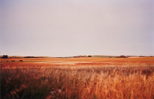red prairie
