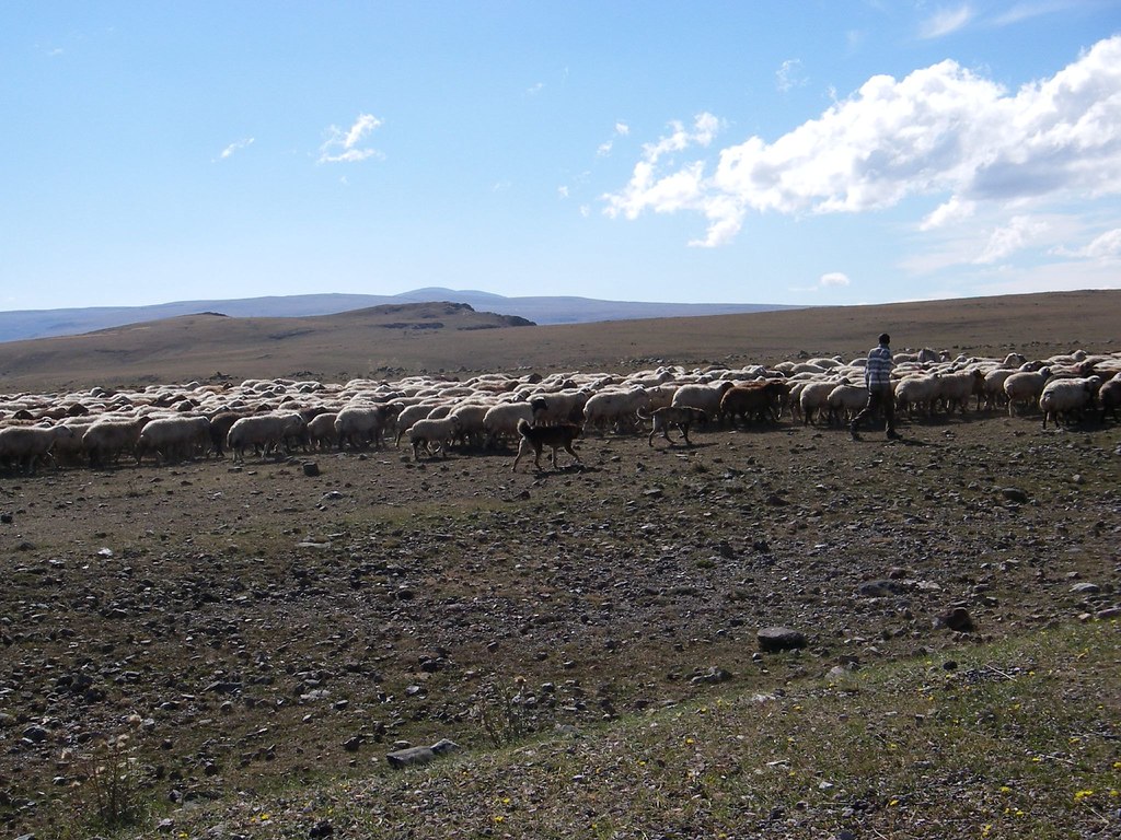 : La steppe pr'es de Kars