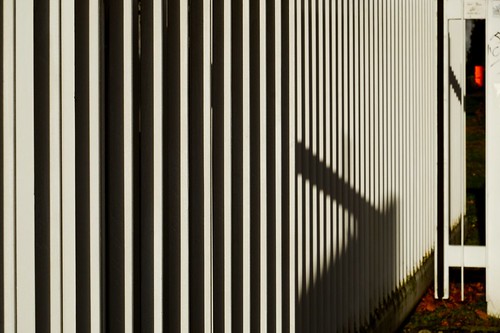 Fence With Shadows