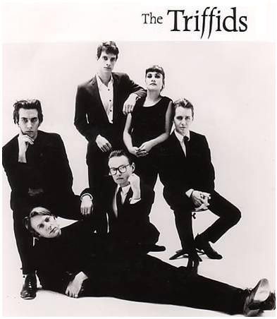 The Triffids with Graham Lee