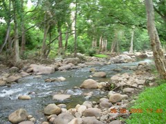 Pambar River in Chinnar wildlife sanctuary