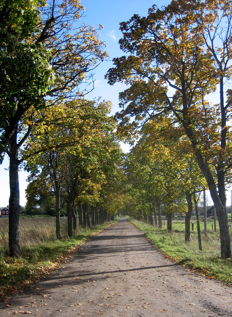 Autumn Boulevard 2006