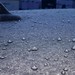 Growing ice drops