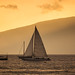 sailboats off of Lahaina