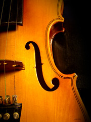| violin |