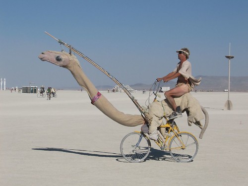 La bicicleta camello