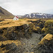 Iceland - Arnarstapi