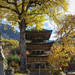 黄葉の前山寺　A Pagoda and Autumn Leaves