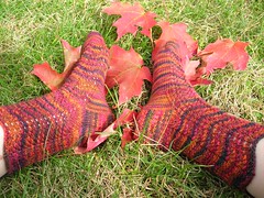 Cherry Tree Hill Feather and Fan socks