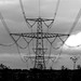 Pylon from the hedgerow