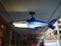 Shark Hotel