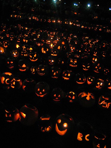 pumpkins lit
