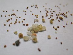 Lithops Seeds (and Grains of Sand)