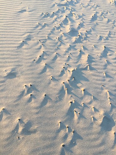 Sand on Rockaway Beach ©  joannapoe