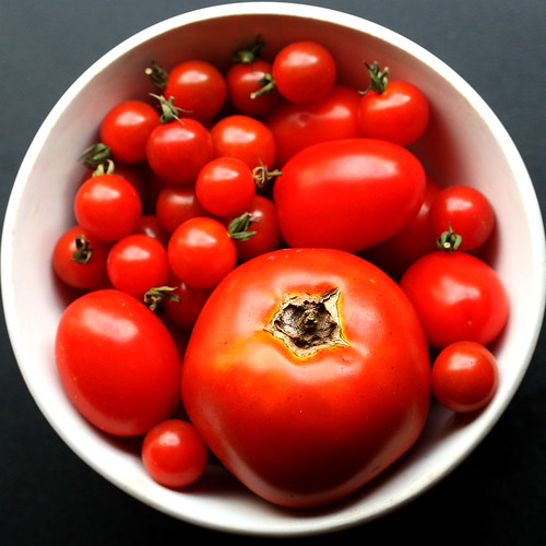 tomatoes squaredcircle