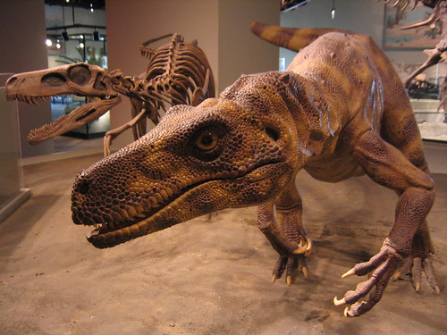 Herrerasaurus by brianbrarian.
