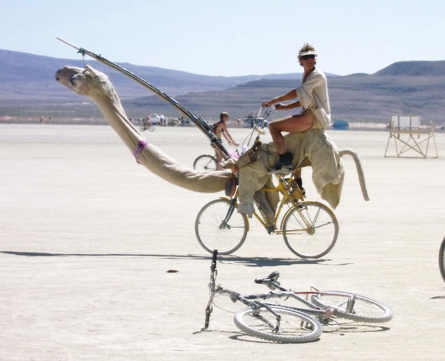 Camel Bike, Photo by David M