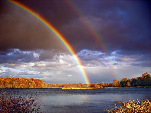 Double Bows by Nicholas_T, on Flickr