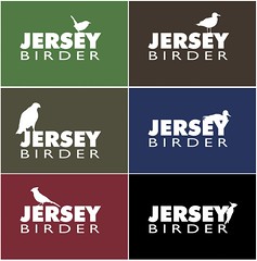 Jersey Birder Samples
