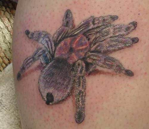 sexy girl with her beautiful tarantula tattoo 005.jpg