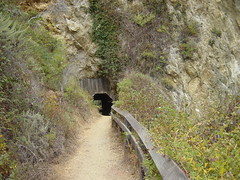 Trail Tunnel Partington Cove