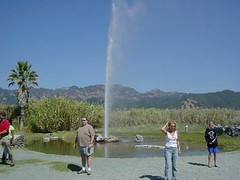 Old Faithful geyser of California