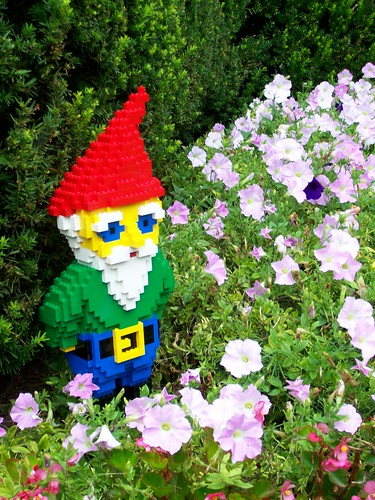 garden gnome. Garden Gnome in his native