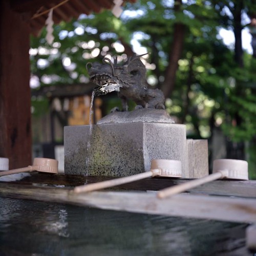 Shrine Water
