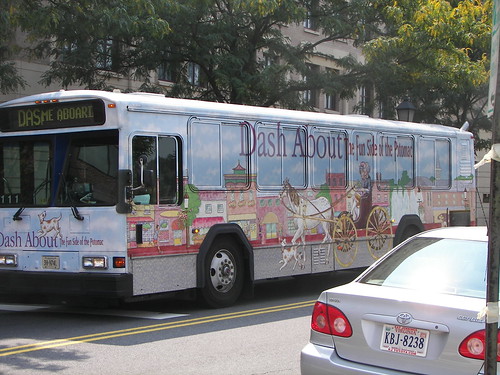 Alexandria Dash About bus, painted to promote tourism