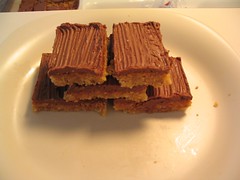 Very Disappointing Oatmeal Bars with Chocolate Icing