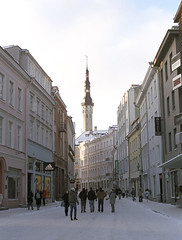 Streets Of Tallinn