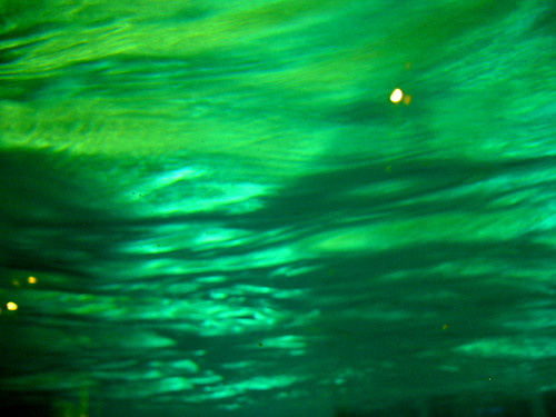 abtsract photograph green water in aquarium