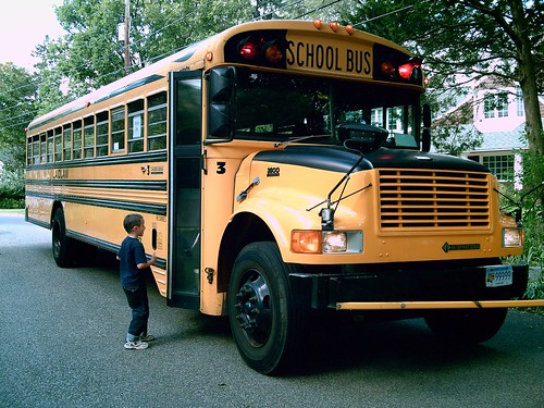 School bus by looli