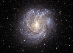 An Exquisite Look at Galaxy NGC 2082