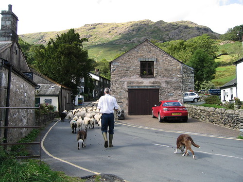 Sheepherder in Seatoller