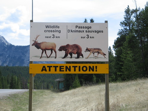 "Wildlife crossing" Canada 2006