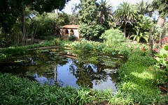 Water Garden, Lotusland