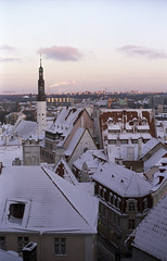 New Tallinn/Old Tallinn