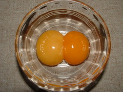 Free range egg comparison