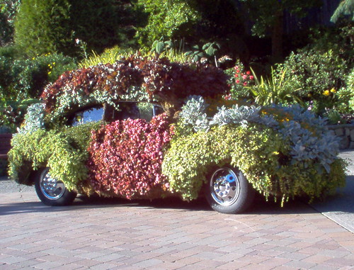 Forest Car at Minter Garden