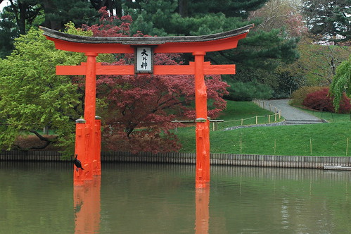 Cormorant, Torii, and Hillside in the Japanese Garden