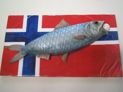 norwegian flag image